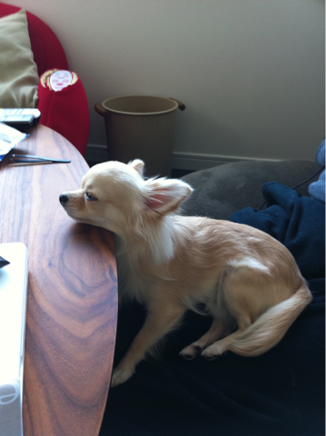 image-20110120160139.png