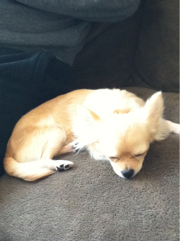 image-20110120160232.png
