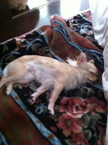 image-20110120160326.png
