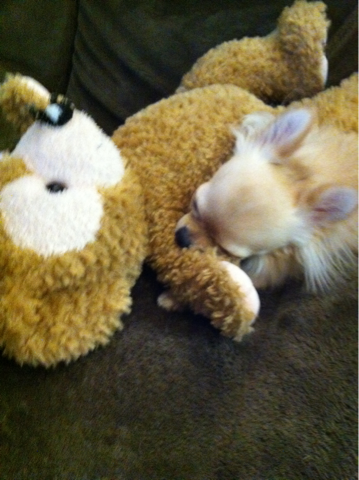 image-20110120160351.png