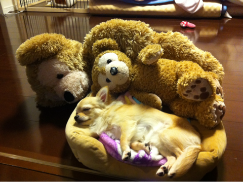 image-20110120160443.png