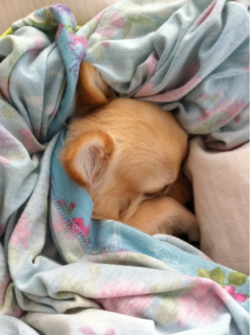 image-20110120160509.png