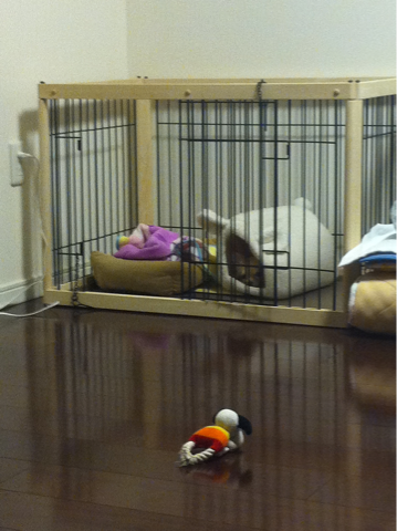 image-20110123131123.png