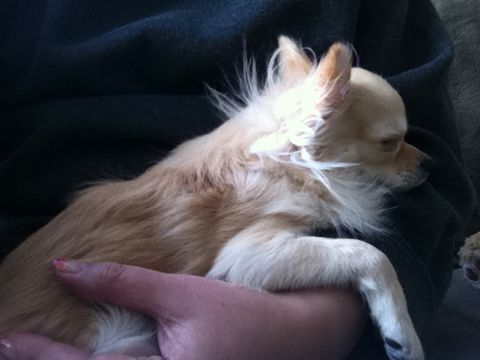 image-20110129191123.png