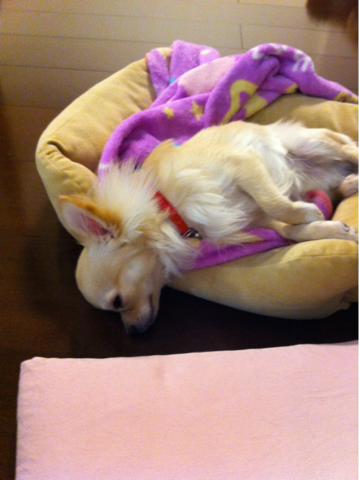 image-20110208193236.png
