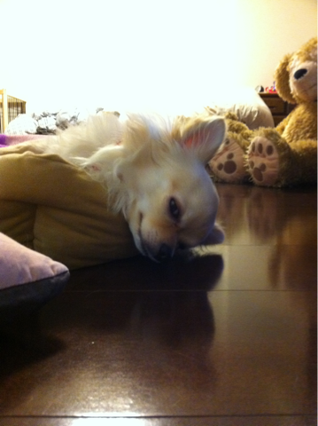 image-20110208193304.png