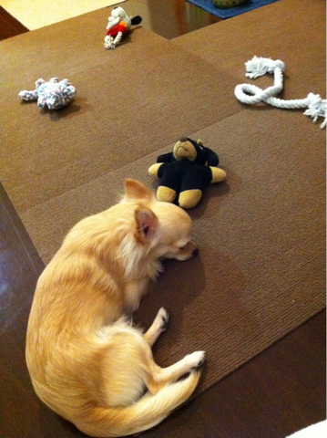 image-20110211041025.png