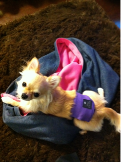 image-20110224000623.png
