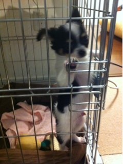 image-20110228012127.png