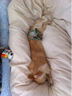 image-20110302030003.png