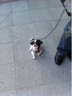 image-20110328034041.png