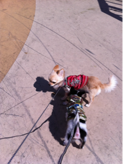 image-20110328034429.png