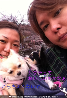 image-20110411021824.png