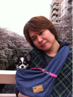 image-20110411021910.png