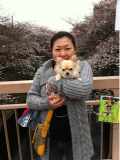 image-20110411021946.png