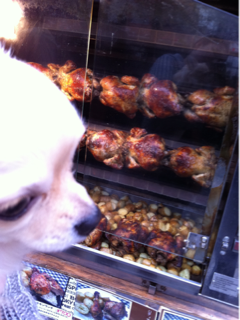 image-20110411022044.png