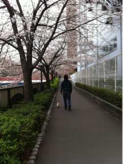 image-20110411022154.png