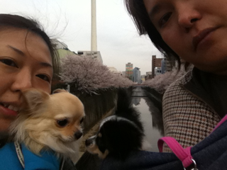 image-20110411022627.png