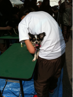 image-20110416193622.png