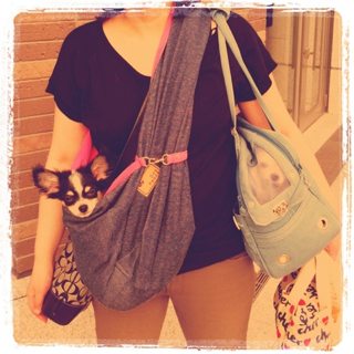 image-20110416194111.png