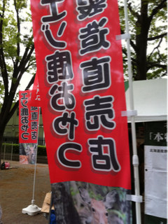 image-20110416194500.png