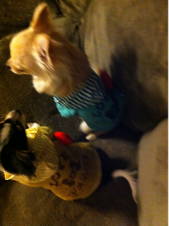 image-20110421020412.png