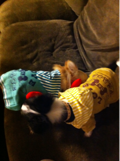 image-20110421020501.png