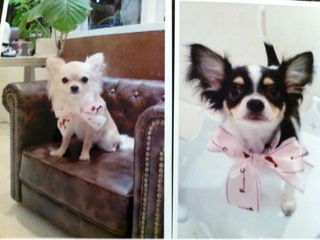 image-20110424120501.png