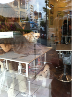 image-20110507230927.png