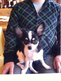 image-20110507231418.png