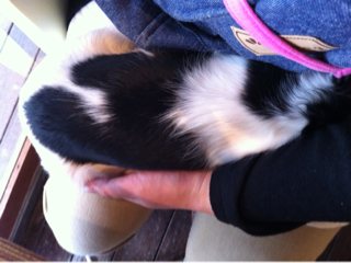 image-20110507231513.png