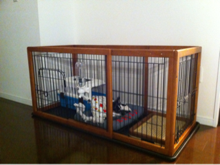 image-20110507232906.png