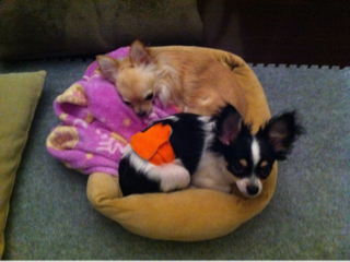image-20110516161409.png