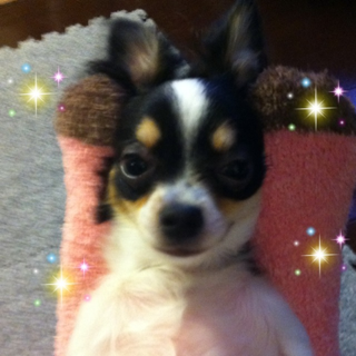 image-20110516161530.png