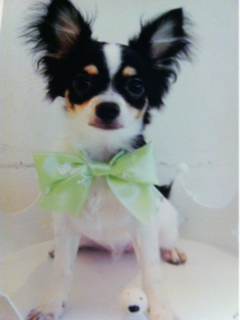 image-20110523183210.png