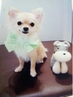 image-20110523183301.png