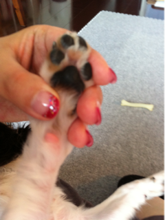 image-20110530021850.png
