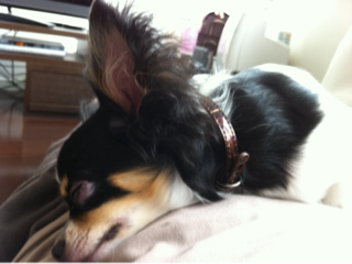 image-20110530022142.png
