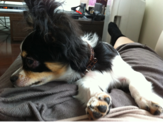 image-20110530022204.png