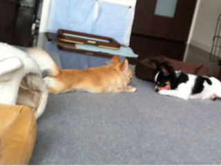 image-20110531031801.png