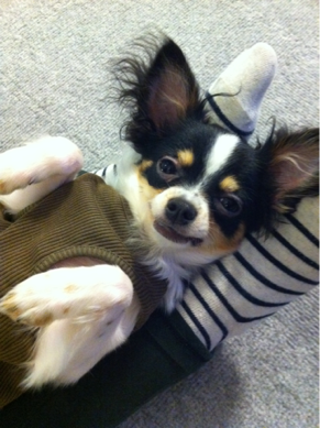 image-20110617185343.png