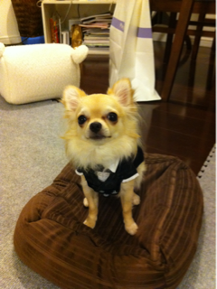 image-20110715101428.png