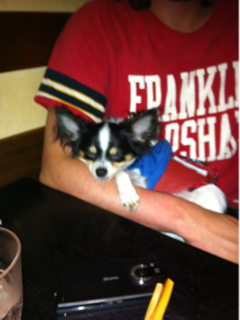 image-20110715102025.png
