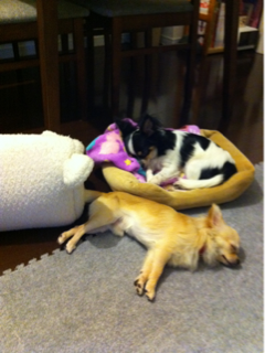image-20110715102053.png