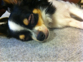image-20110715102145.png