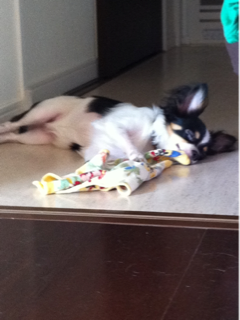 image-20110715102214.png