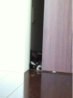 image-20110715102321.png