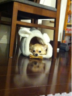 image-20110715102543.png