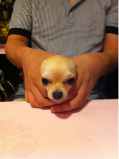 image-20110715102654.png