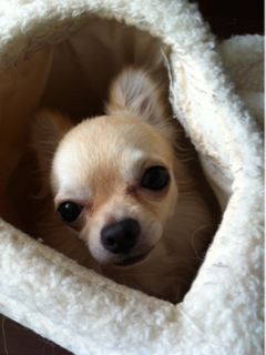 image-20110715102726.png